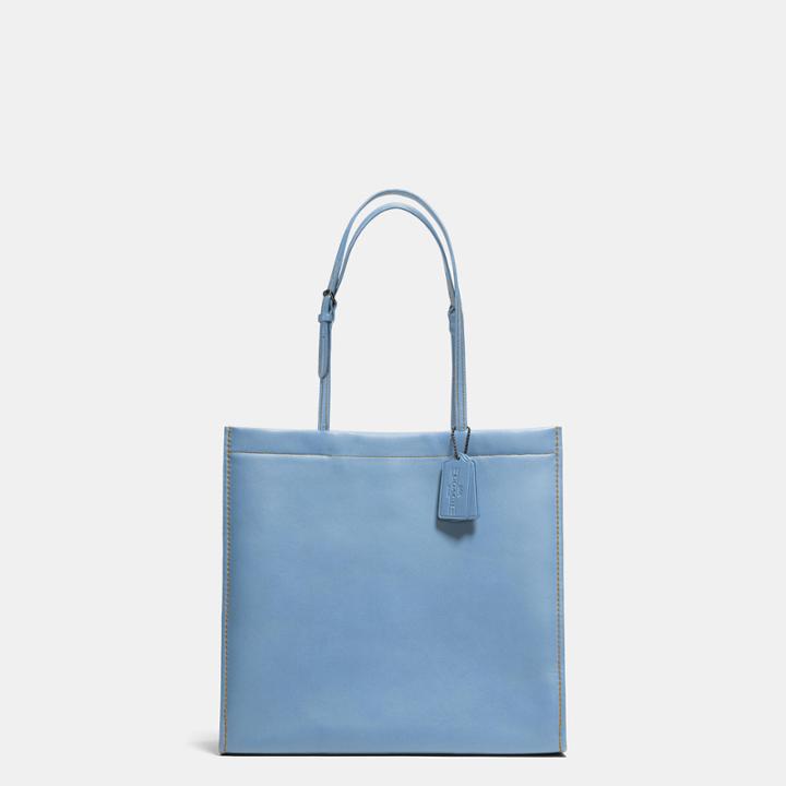 Coach Skinny Tote In Glovetanned Leather