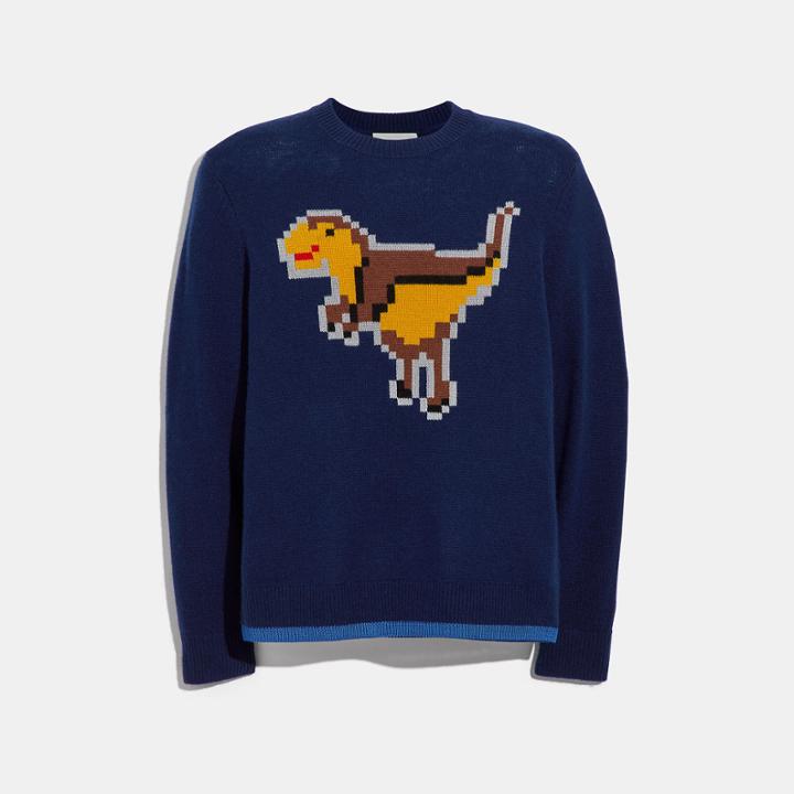 Coach Pixel Rexy Intarsia Sweater
