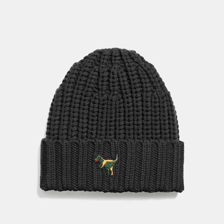 Coach Rexy Knit Beanie
