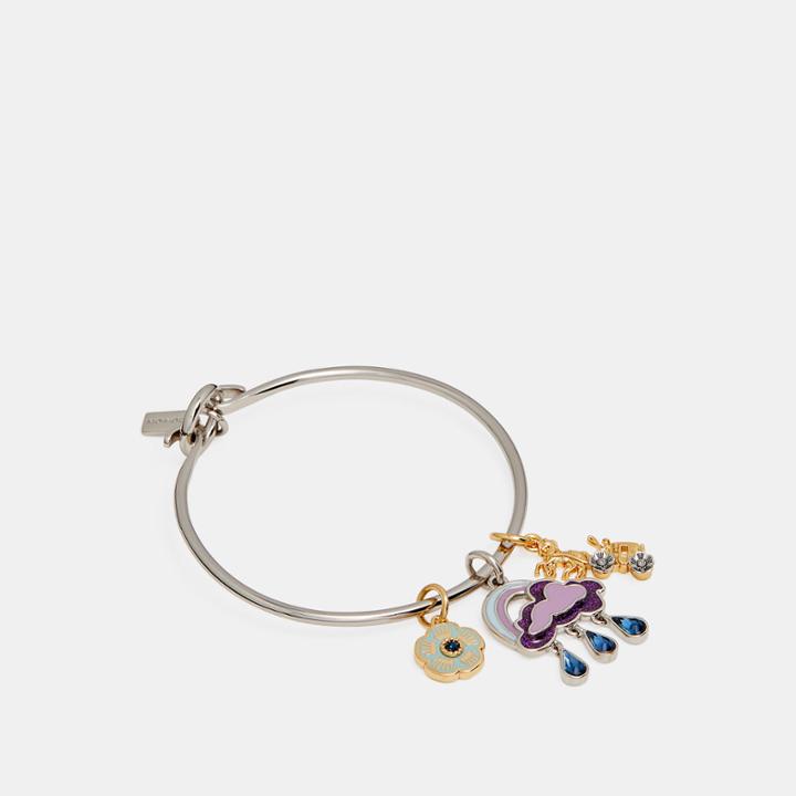 Coach Cloud And Rainbow Bangle