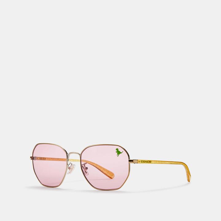 Coach Shaped Sunglasses