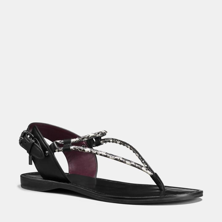 Coach Clarkson Sandal