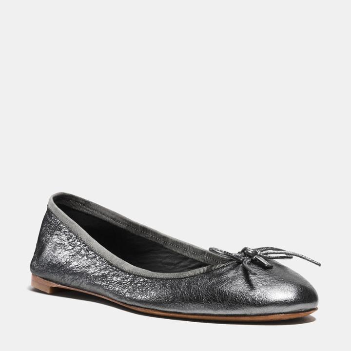 Coach Flatiron Flat