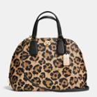 Coach Prince Street Satchel In Wild Beast Print Leather