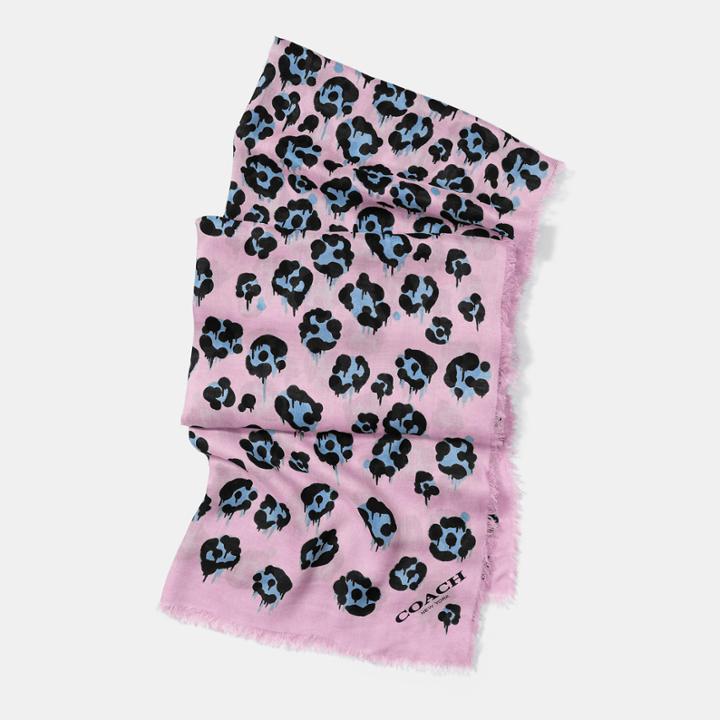 Coach Wild Beast Print Ombre Shawl Scarf