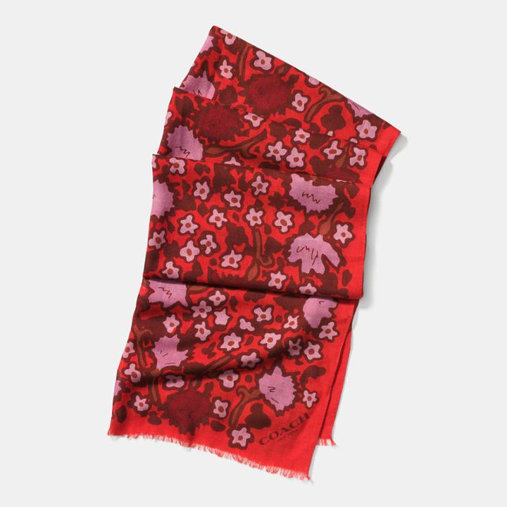 Coach Yankee Floral Oblong Scarf