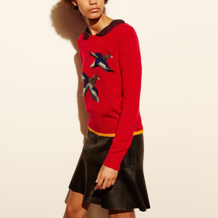Coach Bird Intarsia Sweater