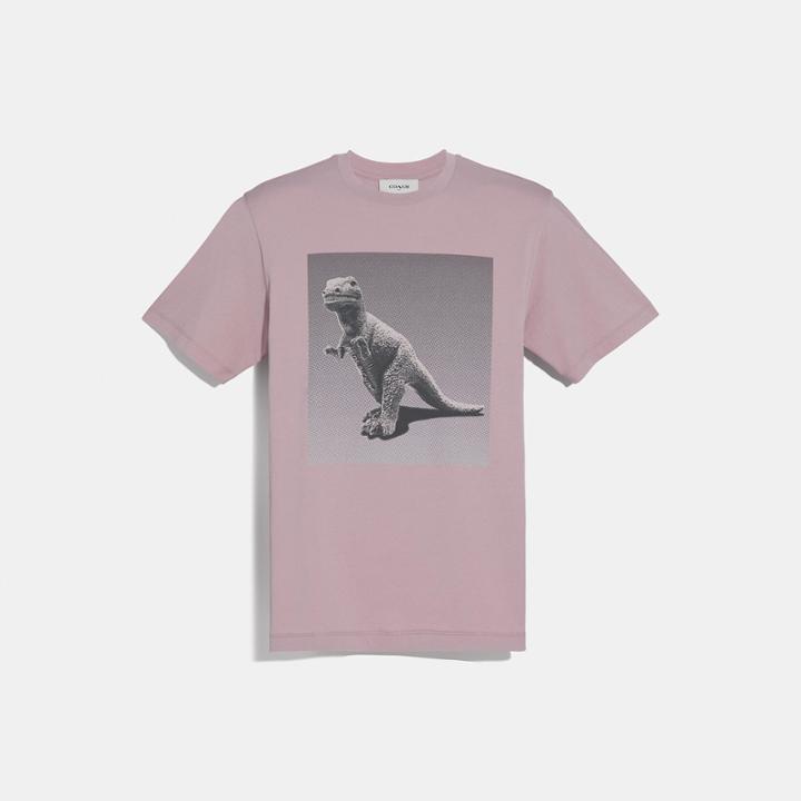 Coach Rexy By Sui Jianguo Short Sleeve T-shirt