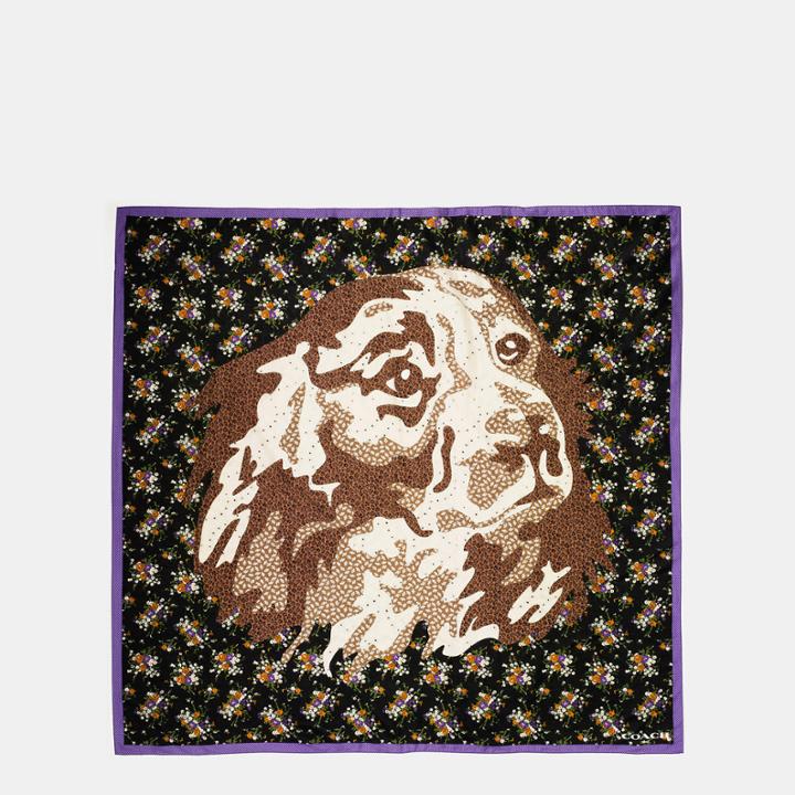 Coach Dog Flower Patchwork Oversized Square