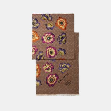 Coach Oblong Scarf With Kaffe Fassett Print