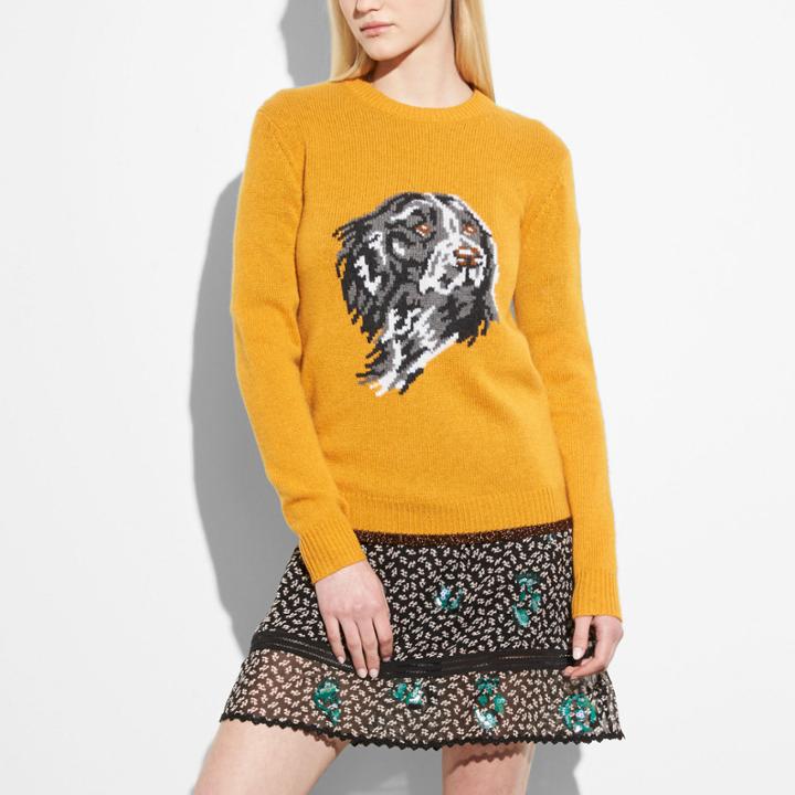 Coach Dog Intarsia Sweater