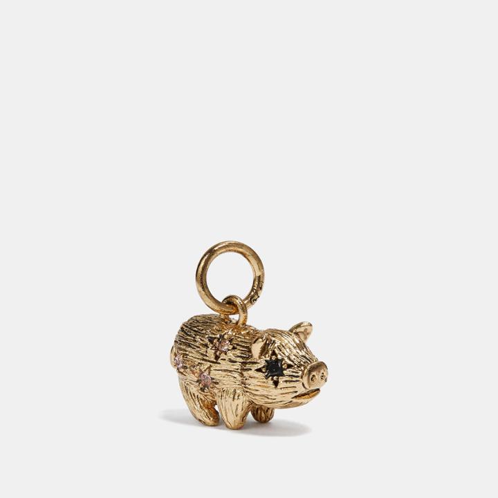 Coach Pig Charm