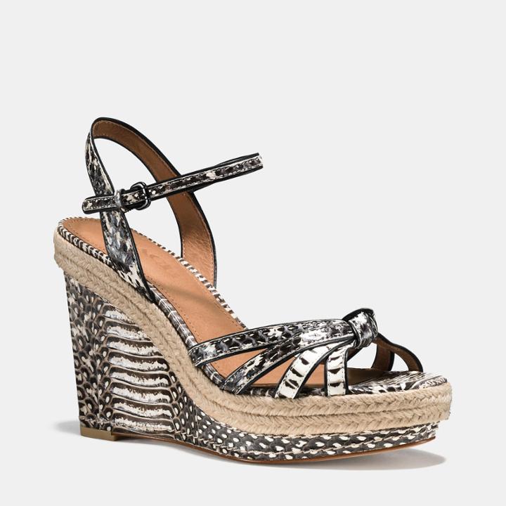 Coach Dalton Snake Espadrille