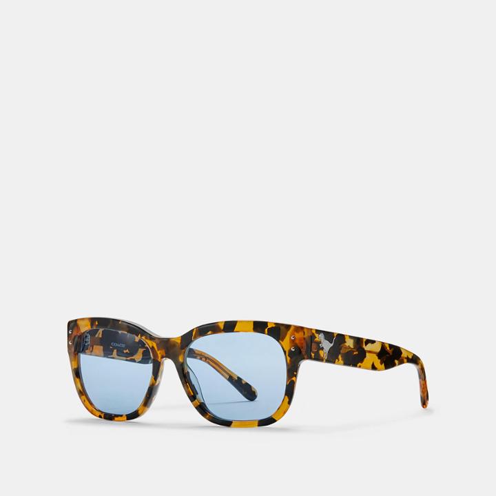 Coach Eli Rexy Square Sunglasses