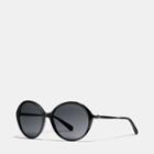 Coach Horse And Carriage Round Sunglasses