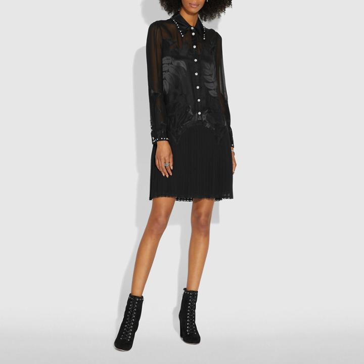Coach Western Dress