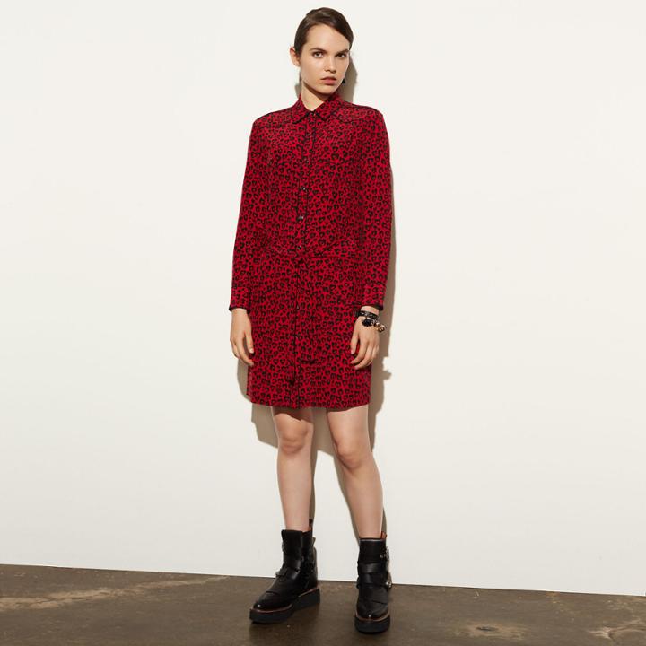 Coach Piped Shirt Dress
