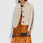 Coach Shearling Leather Coat