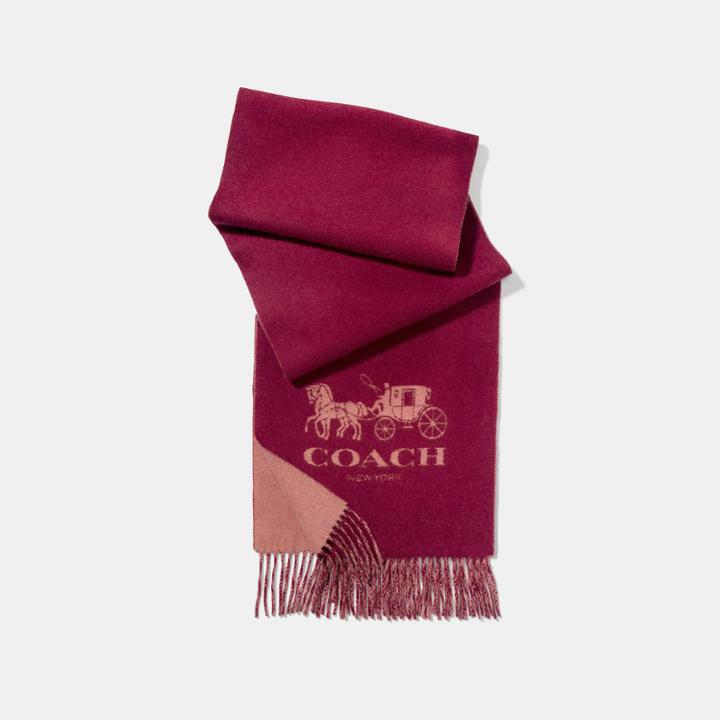 Coach Horse And Carriage Bicolor Cashmere Muffler