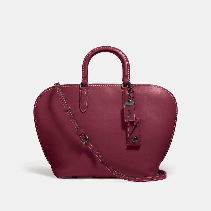 Coach Dakotah Satchel