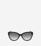 Cole Haan Womens Cat Eye Acetate Sunglasses