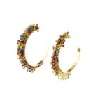 Elizabeth Cole Jewelry - Raven Earrings