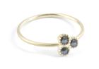Nina Nguyen Jewelry - Rose Cut Trio Diamond Gold Ring