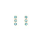 Ashley Schenkein Jewelry - Tulum 3 Bezel Gemstone Earrings
