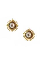 Elizabeth Cole Jewelry - Rita Earrings