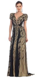 May Queen - Deep V- Neck Two-tone Embellished Sheath Gown Rq7384