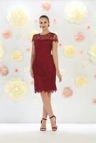 May Queen - Short Sleeve Sheer Neck Floral Lace Dress Mq1106