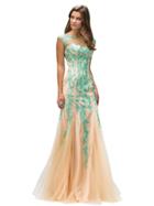 Cap Sleeves, Illusion Fabric, Lace Appliques, Sweetheart Lining, Fit And Flare Dress