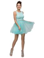 Dancing Queen - Lively Floral Embroidered Scoop Neck Short Tulle Dress 9126