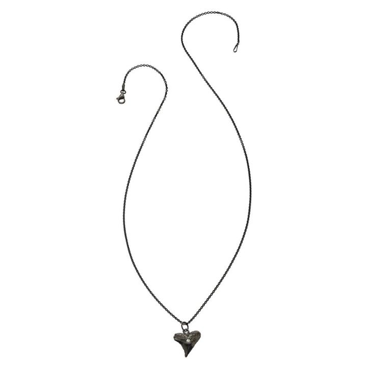 Heather Hawkins - Casted Sharktooth Necklace