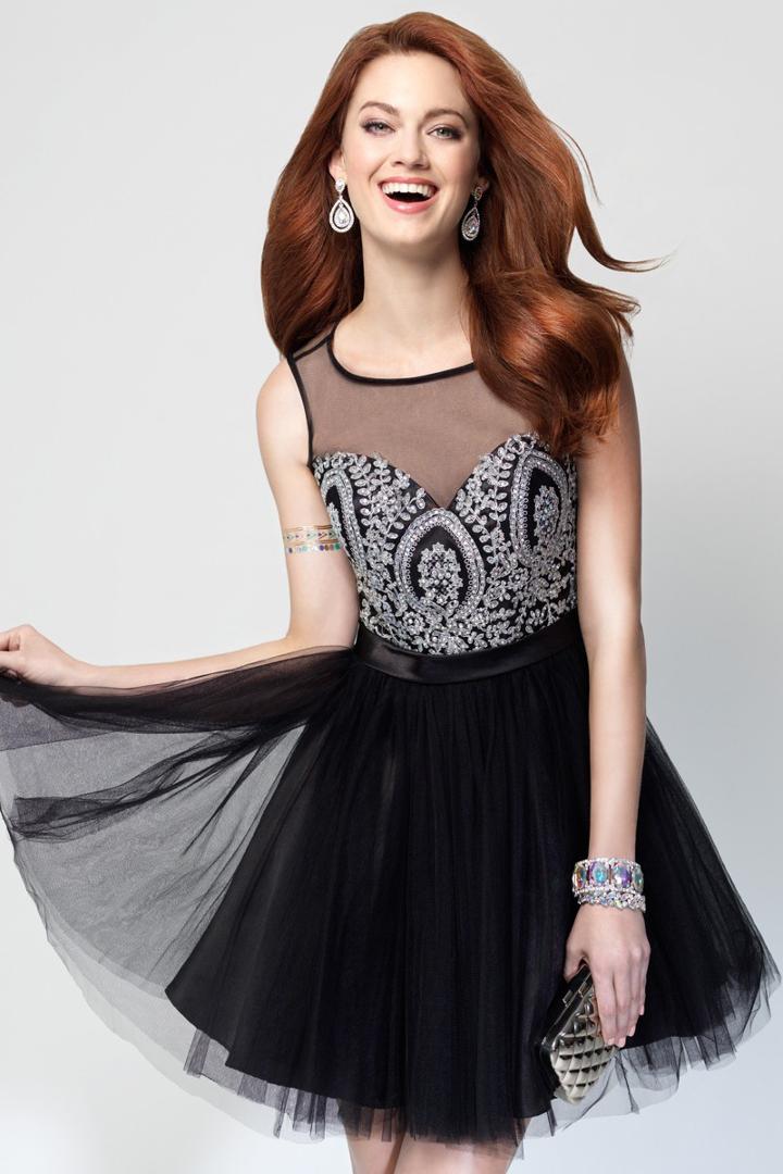 Alyce Paris - 3684 Embroidered Tulle A-line Dress