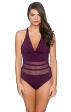 Aerin Rose Swimwear - Canyon 1 Pc Swimsuit 145sagr