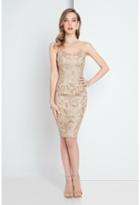 Terani Evening - 1721c4001 Lace Scoop Sheath Dress
