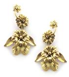 Elizabeth Cole Jewelry - Birch Earrings