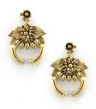 Elizabeth Cole Jewelry - Lily Earrings