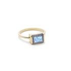 Margaret Elizabeth - Channel Set Ring Labradorite