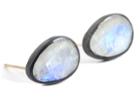Nina Nguyen Jewelry - Dove Black Oxidized 14k Stud Earrings