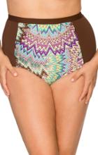 Curve Swimwear Sunburst 304b Retro High Waist Bottom