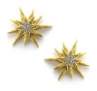 Elizabeth Cole Jewelry - Satine Earrings 7758271888