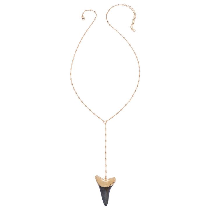 Heather Hawkins - Bar Chain Y Necklace In Mako Shark Tooth