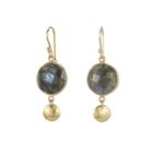 Ashley Schenkein Jewelry - Boulder Gemstone Brushed Disc Earrings