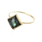 Nina Nguyen Jewelry - Spirit Gold Ring