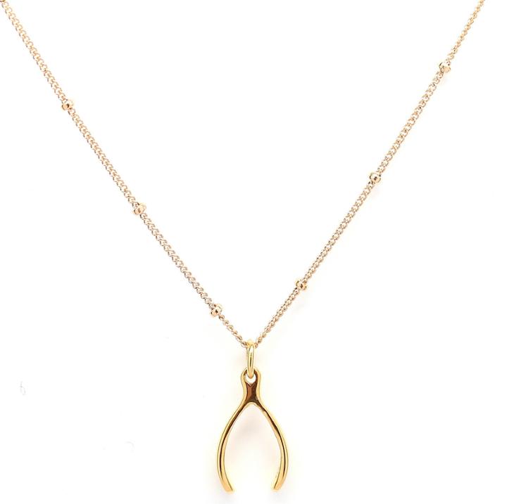 Rachael Ryen - Gold Wishbone Satellite Chain Charm Necklace