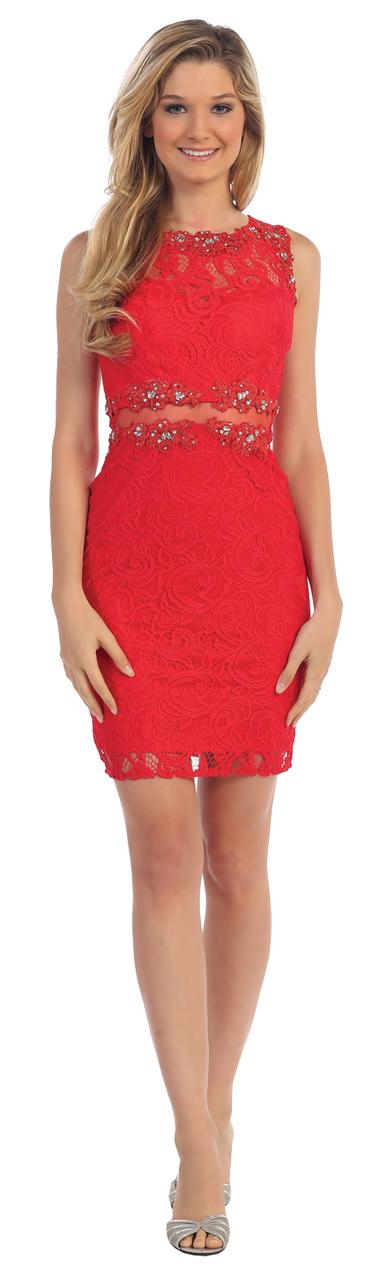 Romantic Sheer Lace Cocktail Dress