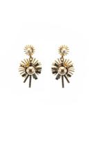 Elizabeth Cole Jewelry - Issey Earrings 6157734533