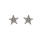 Ashley Schenkein Jewelry - Brooklyn Diamond Rhodium Mini Star Earrings